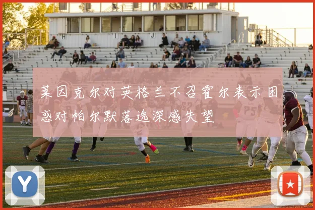 莱因克尔对英格兰不召霍尔表示困惑对帕尔默落选深感失望